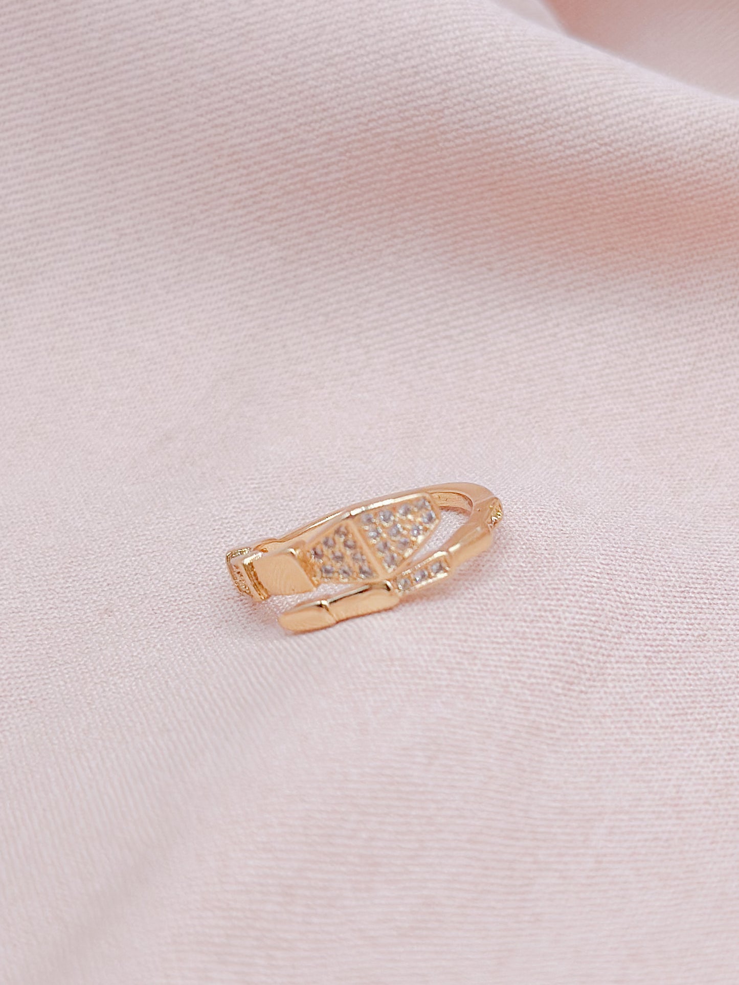 Ring Collection