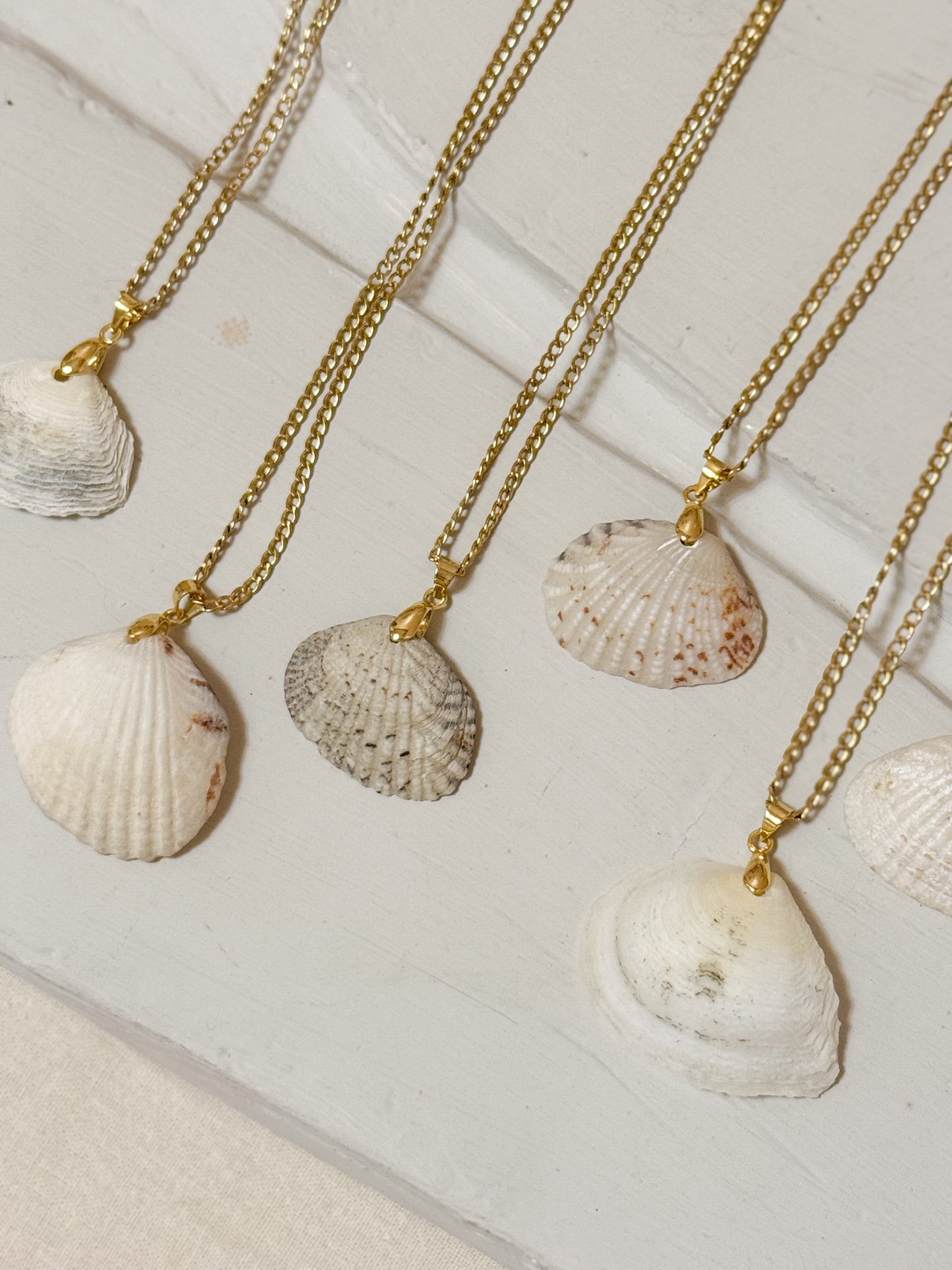 Foraged Seashells | Exclusive Collection