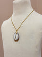 Foraged Seashells | Exclusive Collection