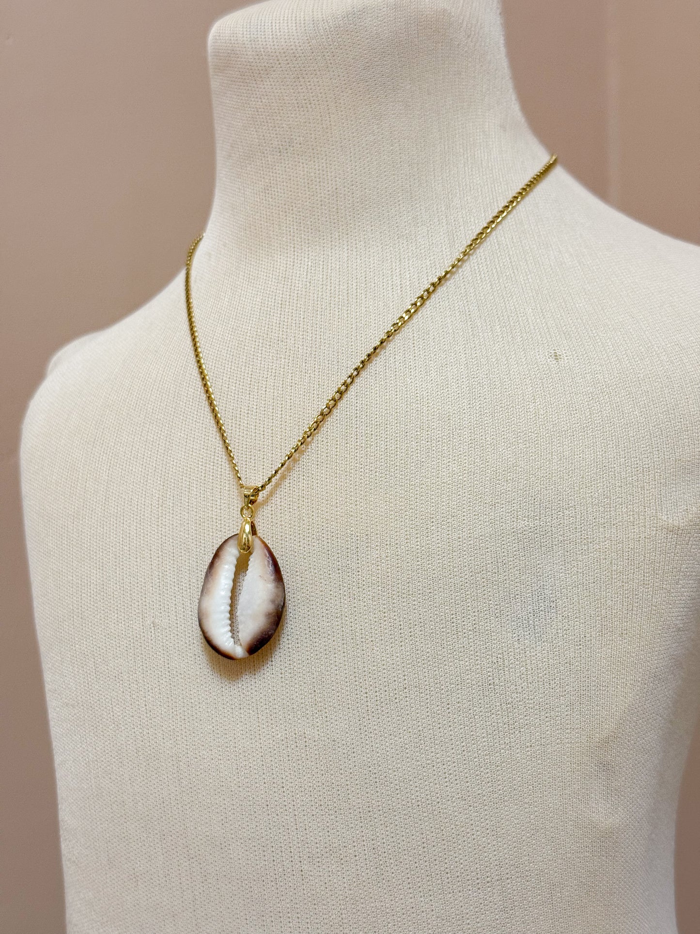Foraged Seashells | Exclusive Collection
