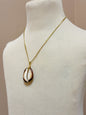 Foraged Seashells | Exclusive Collection