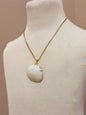 Foraged Seashells | Exclusive Collection