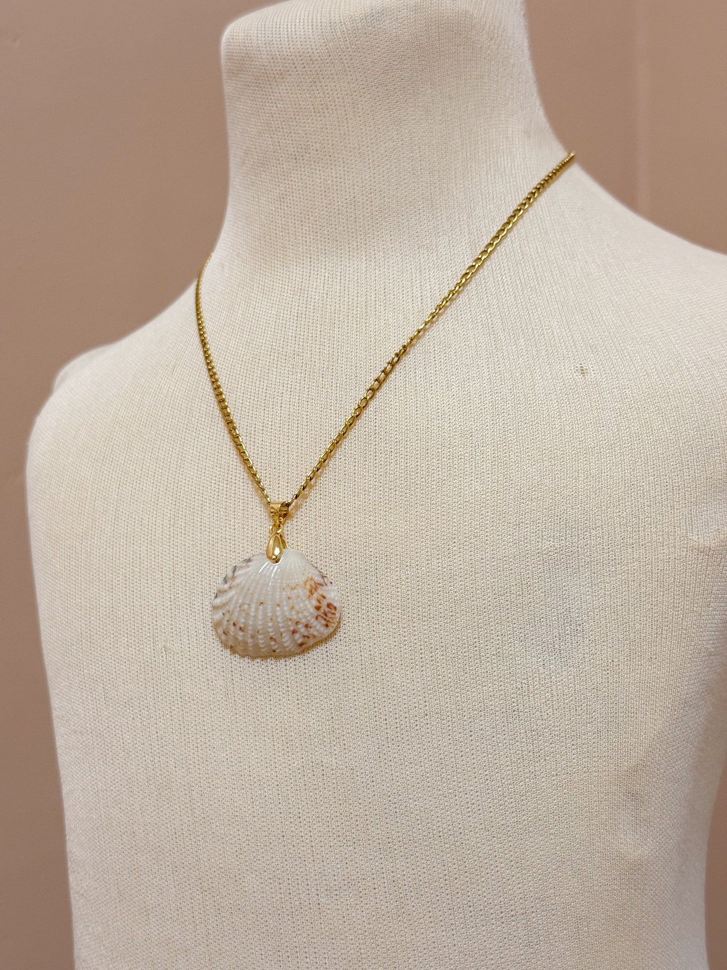 Foraged Seashells | Exclusive Collection