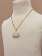 Foraged Seashells | Exclusive Collection