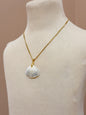 Foraged Seashells | Exclusive Collection