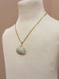 Foraged Seashells | Exclusive Collection